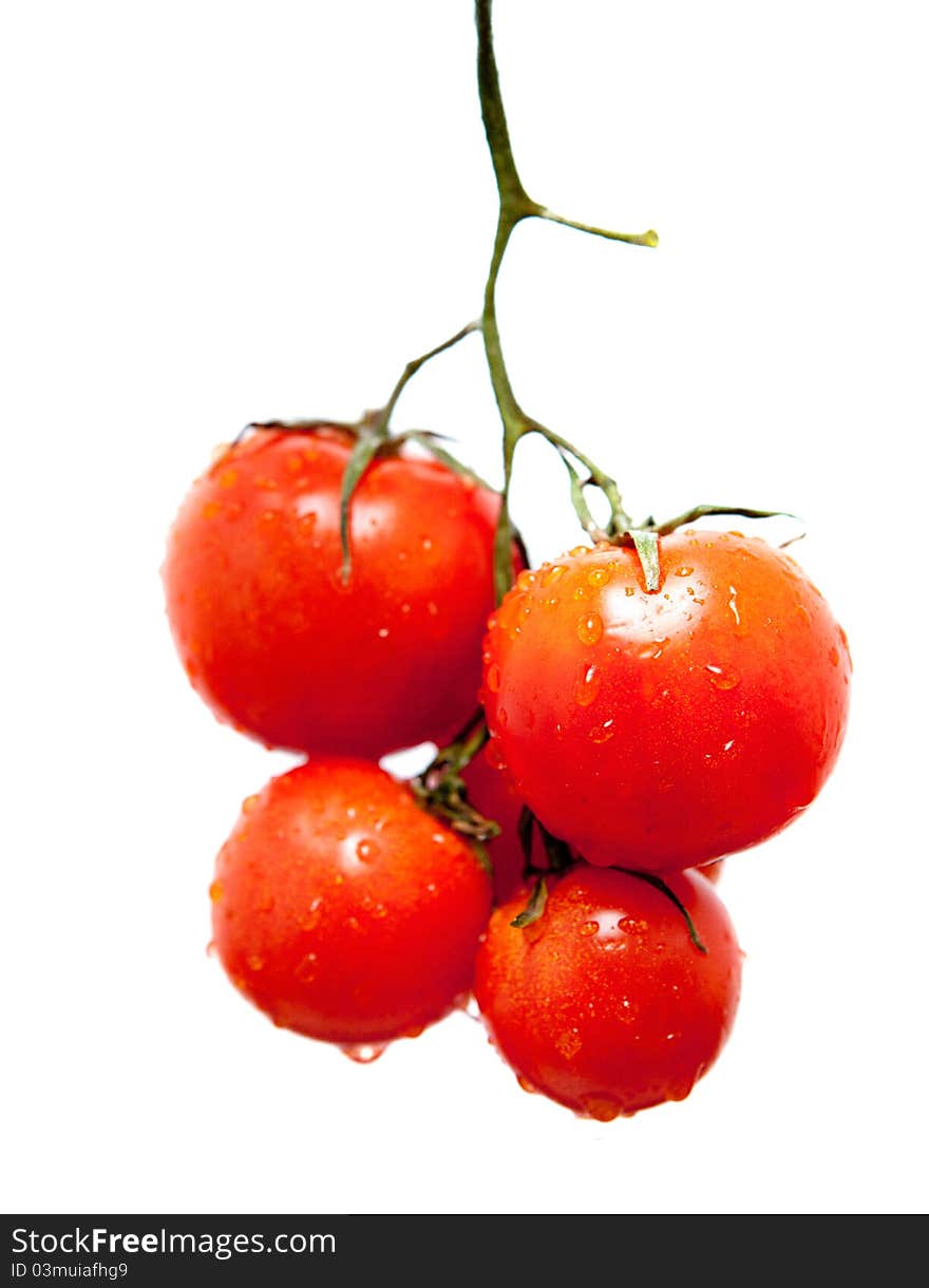 Fresh red tomato in the drops of water