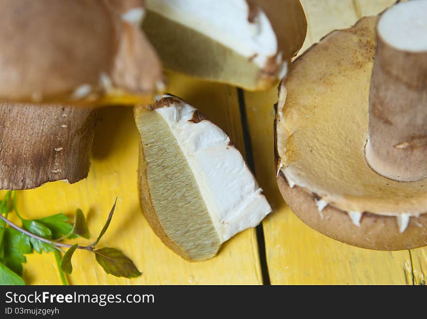 Boletus mushroom