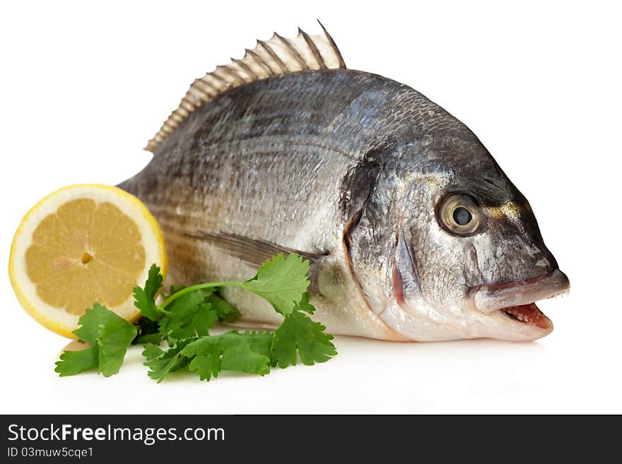 Dorado Fish garnished with Parsleyl and lemons ready for the pan or the grill