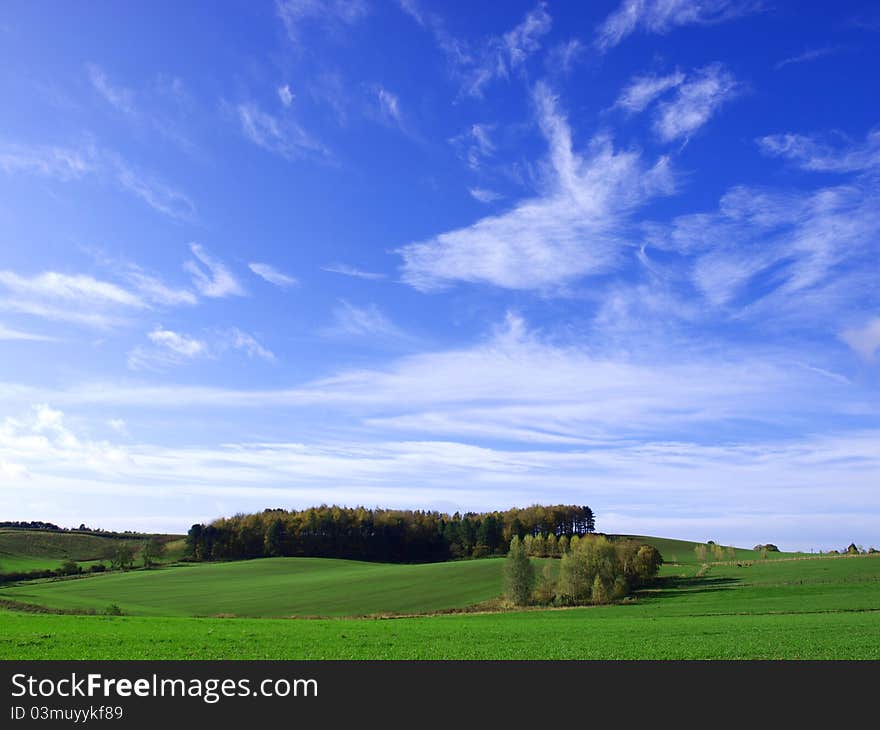 Landscape showing blue sky and green grassy land. Landscape showing blue sky and green grassy land