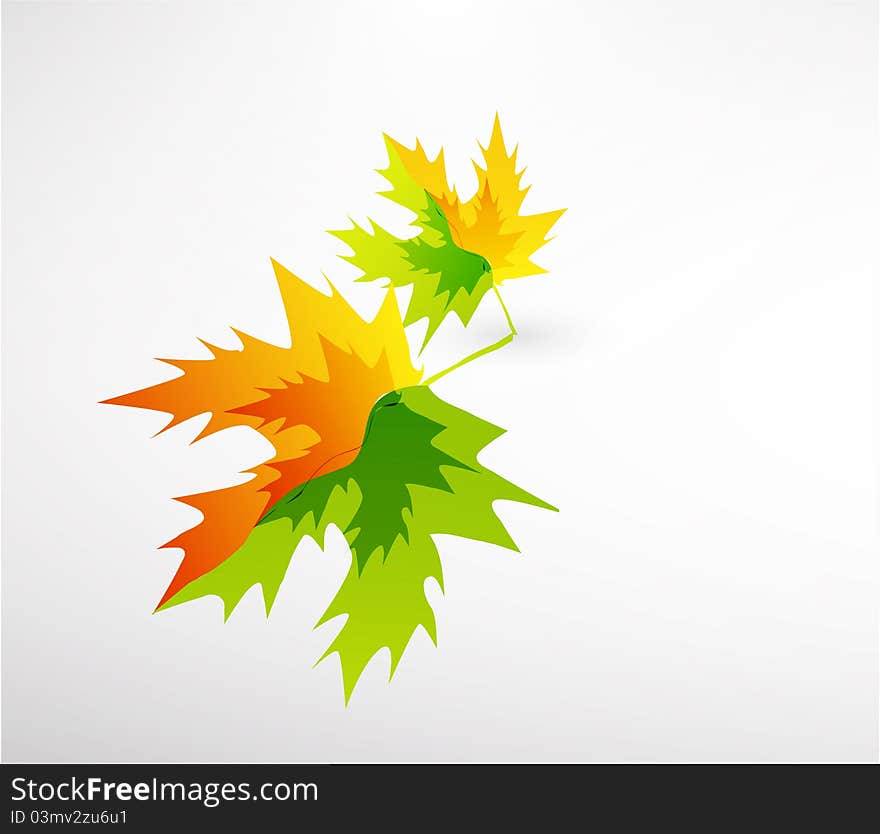 Leaf Abstract Background