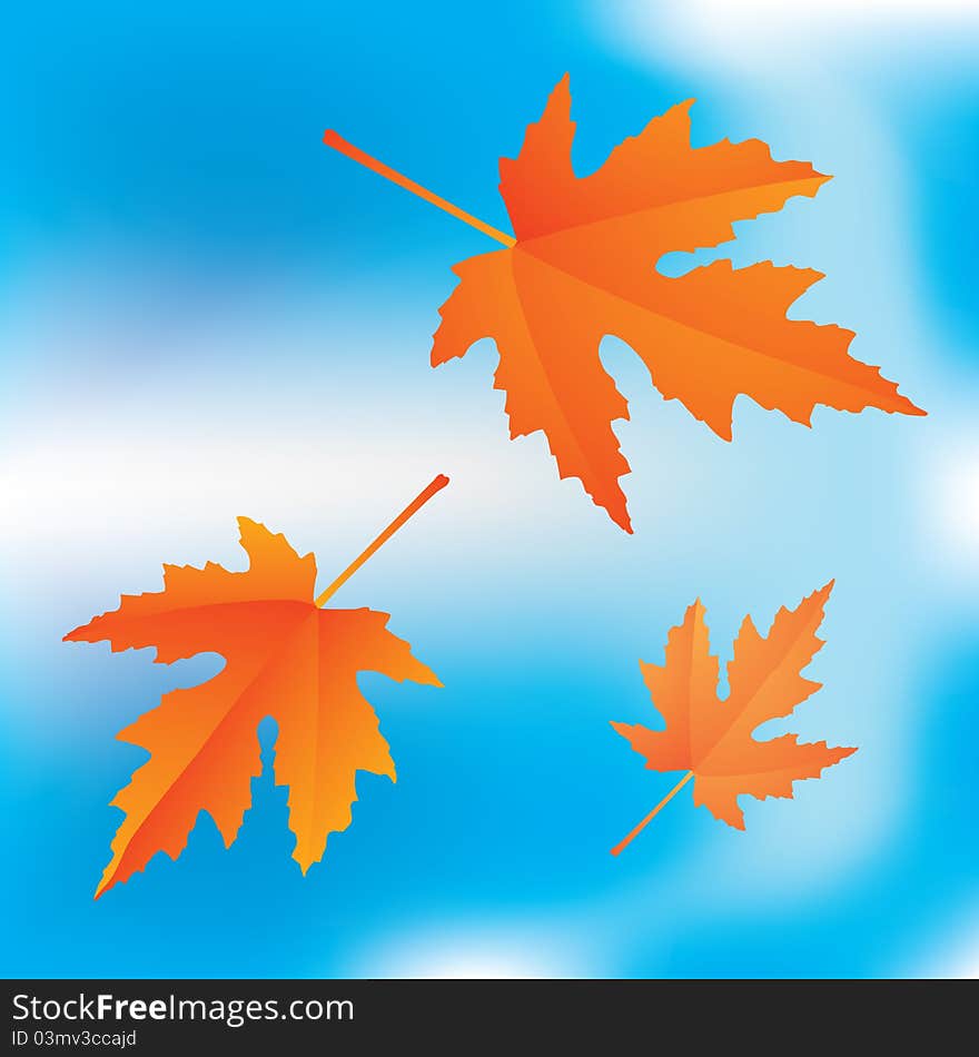 Red autumnal falling maple leaves on blue sky background. Red autumnal falling maple leaves on blue sky background