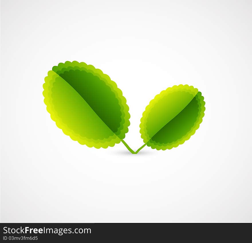 Abstract leaf concept