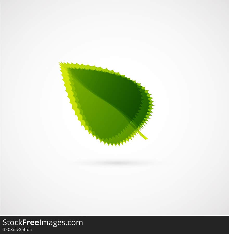 Abstract Leaf Concept