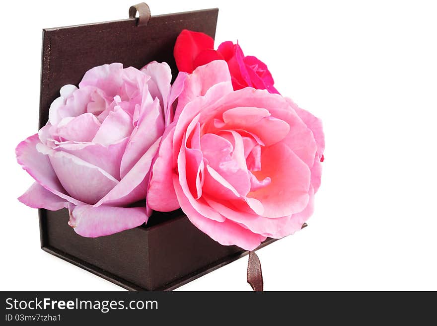 Roses In A Box