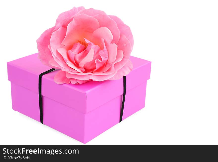 Pink gift box tied with black ribbon with a pink rose on white background. Pink gift box tied with black ribbon with a pink rose on white background