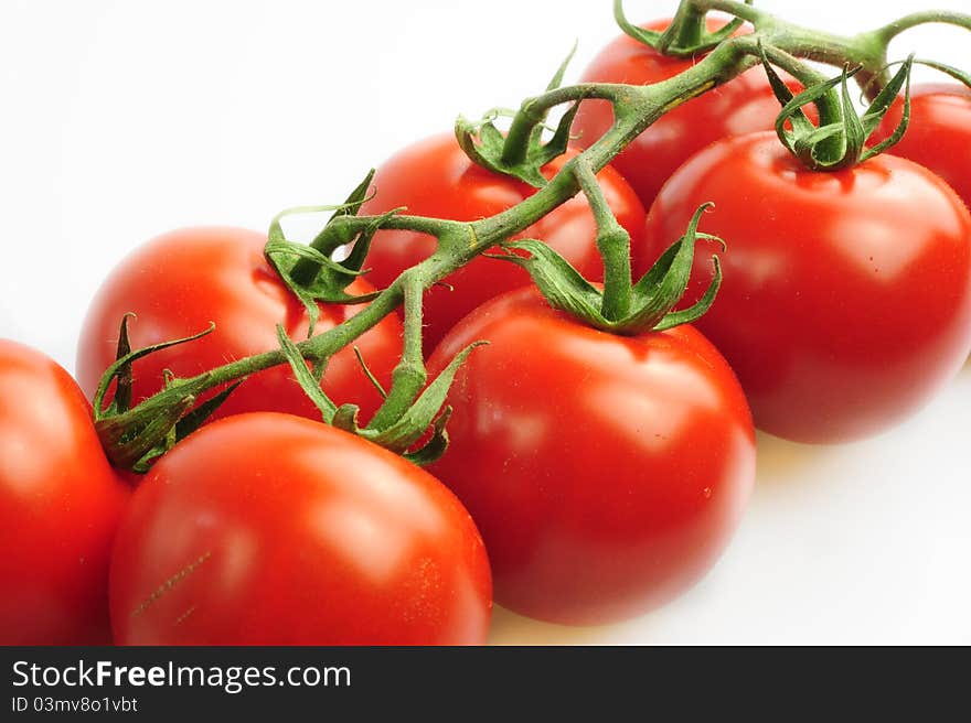 Branch of red tomato on a white background. Branch of red tomato on a white background