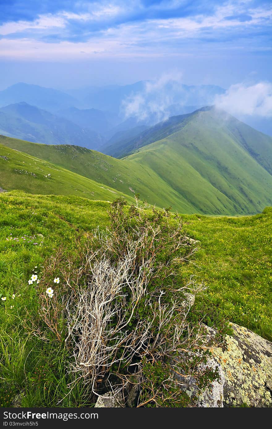 Mountain landscape