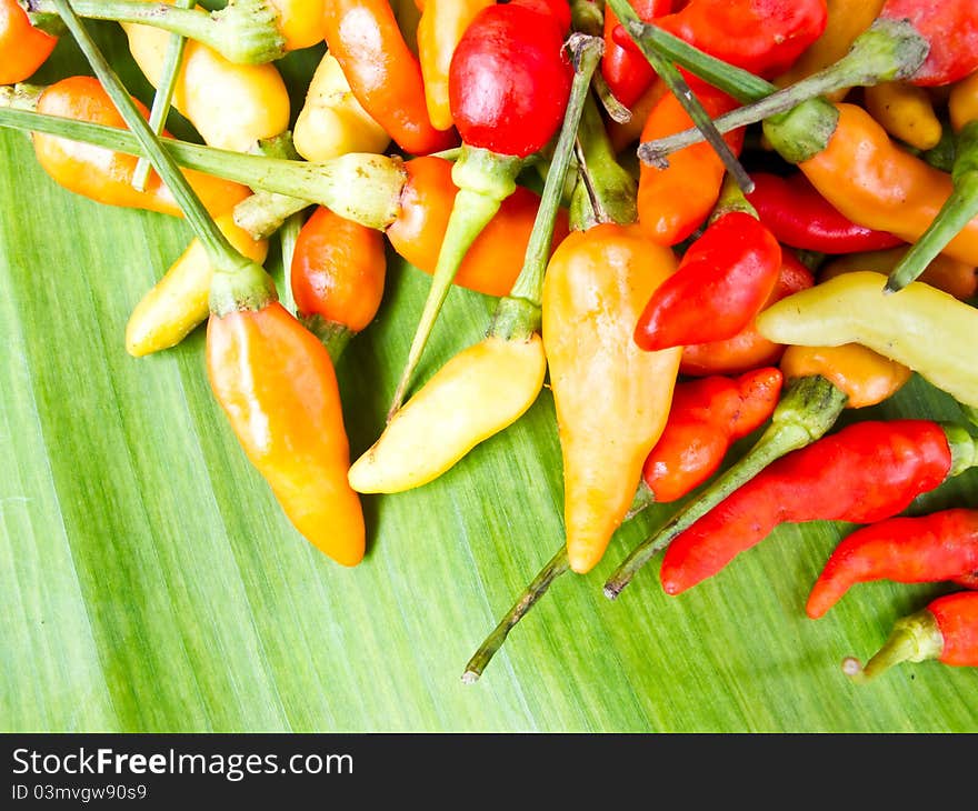 Hot peppers