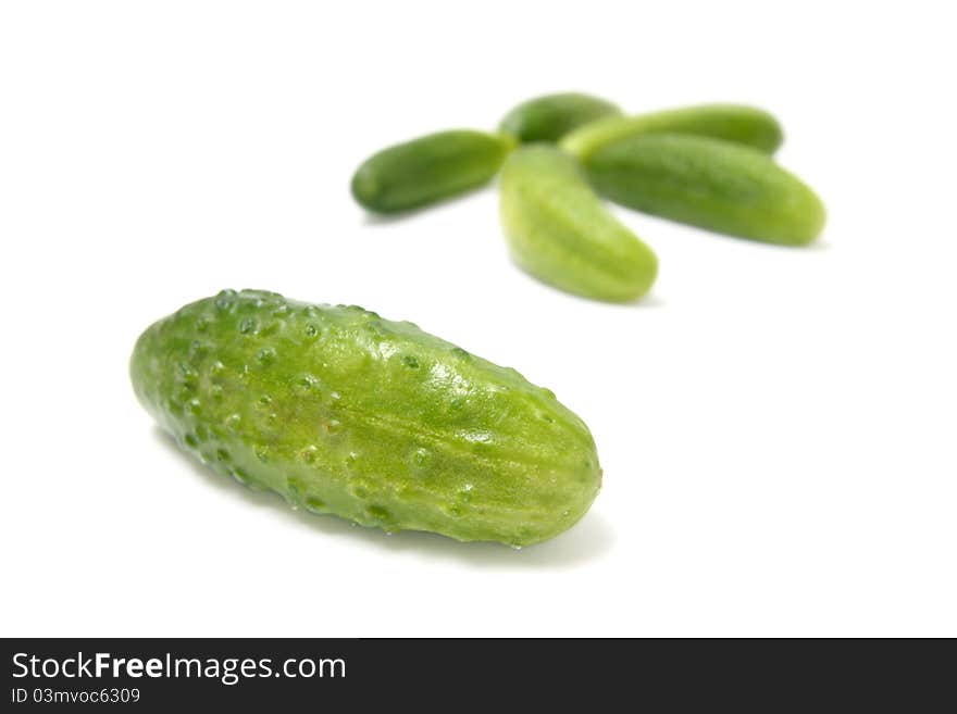 Cucumbers on a white background