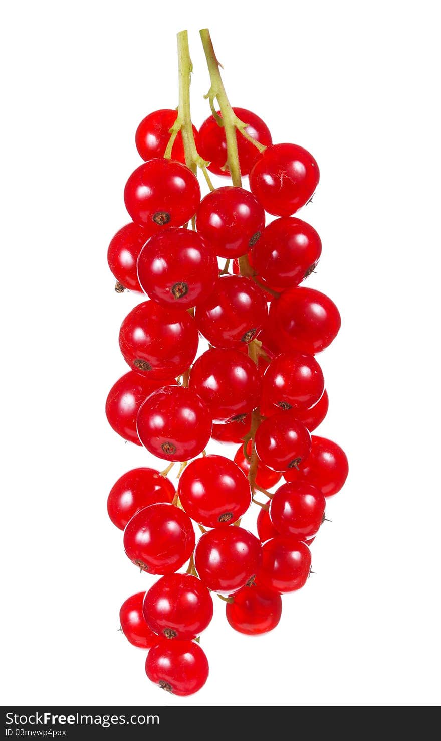 Red currant on a white background