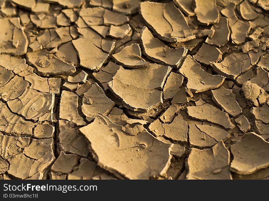 Close-up of cracked land