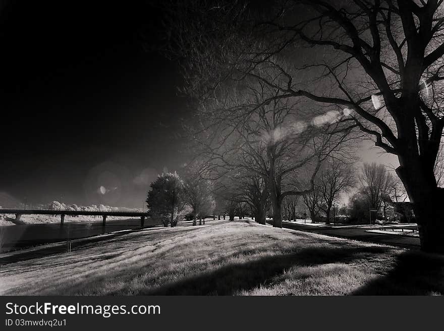 The picture of Manawatu riverside taken using infrared filter. The picture of Manawatu riverside taken using infrared filter.