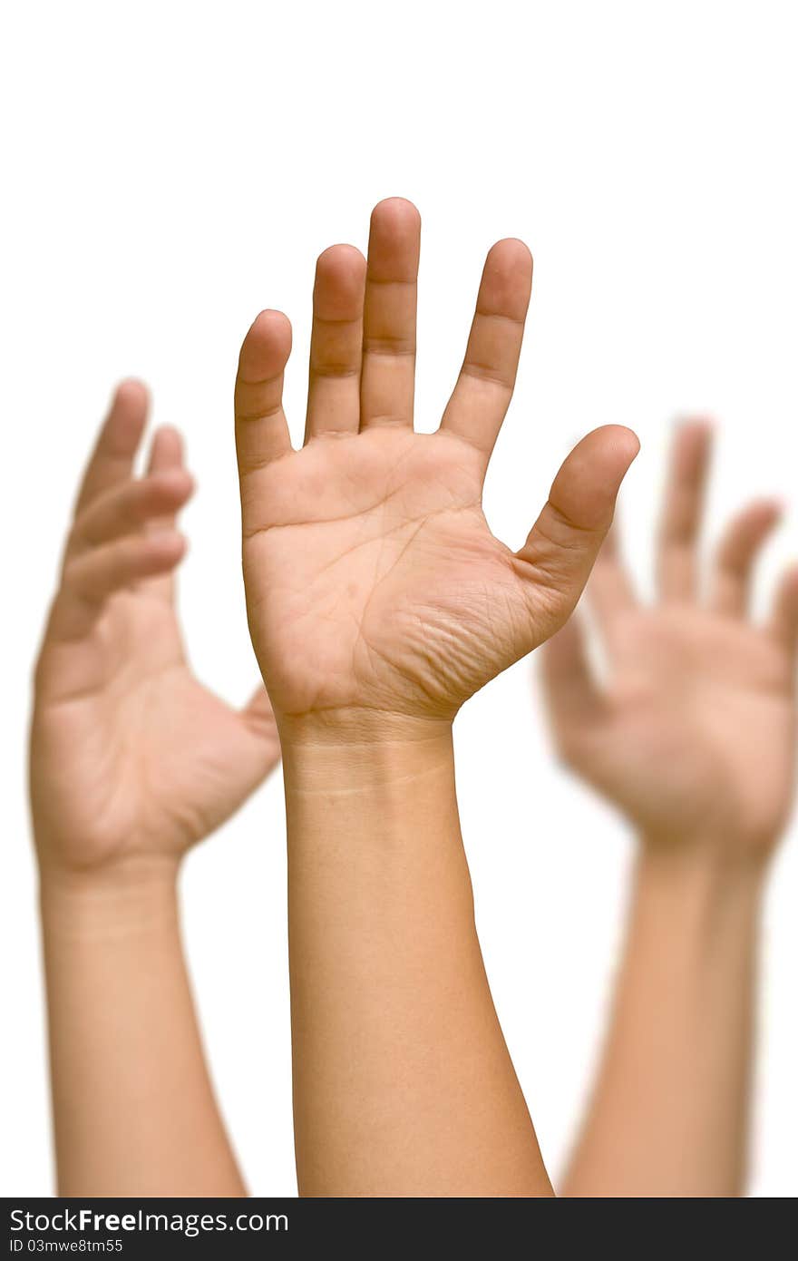 Hand holds a white background. Hand holds a white background.