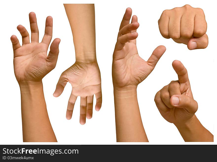 Hands of different men. White background.