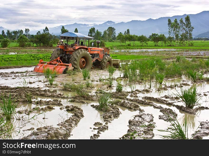 Tractor power tiller for rice cultivation. Tractor power tiller for rice cultivation.