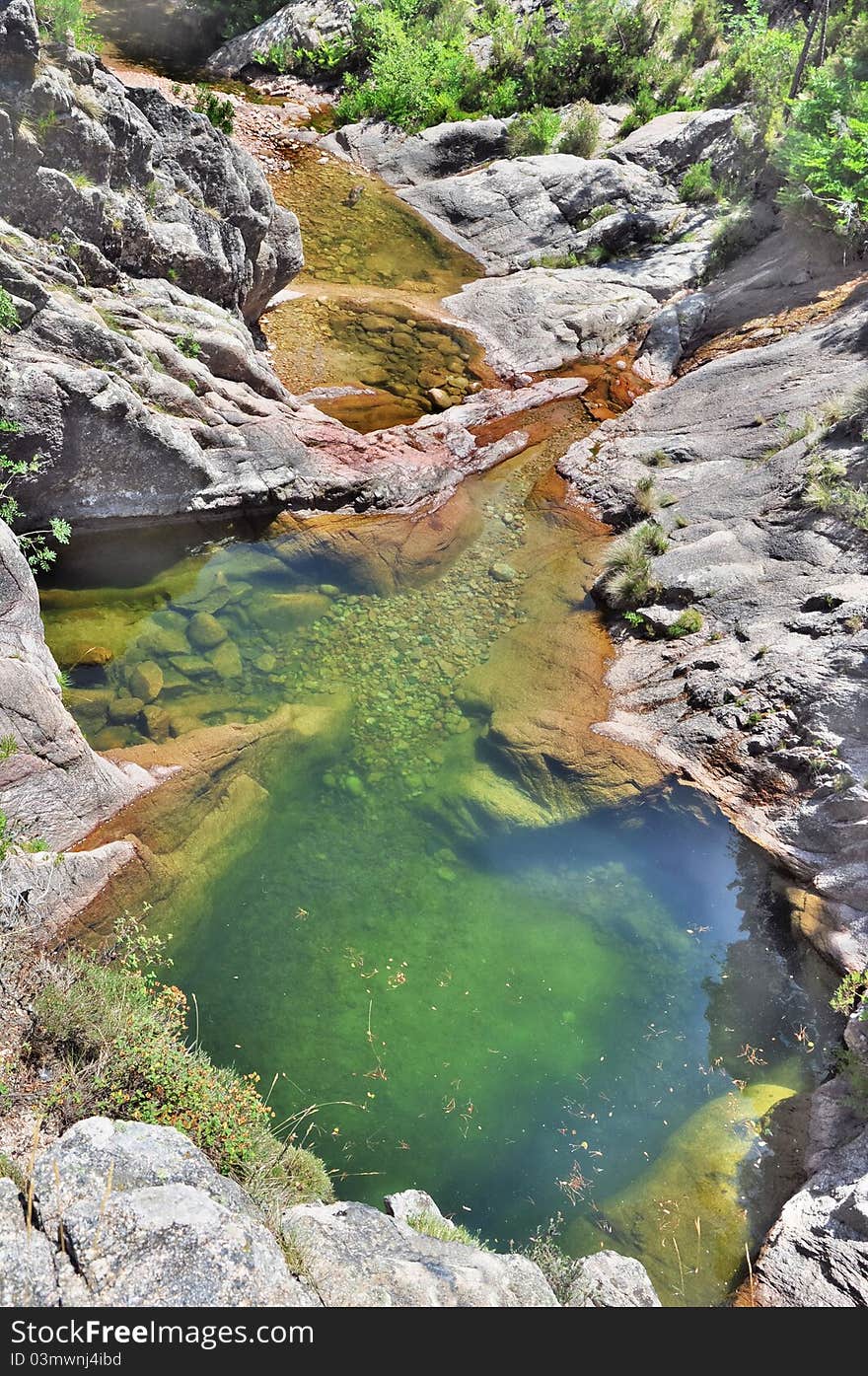 Natural swimming pool