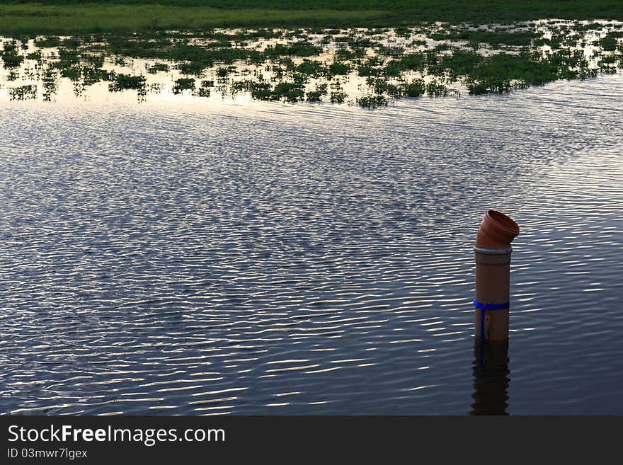 Beautiful Pond