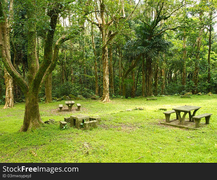 Landscape of green park and rest place