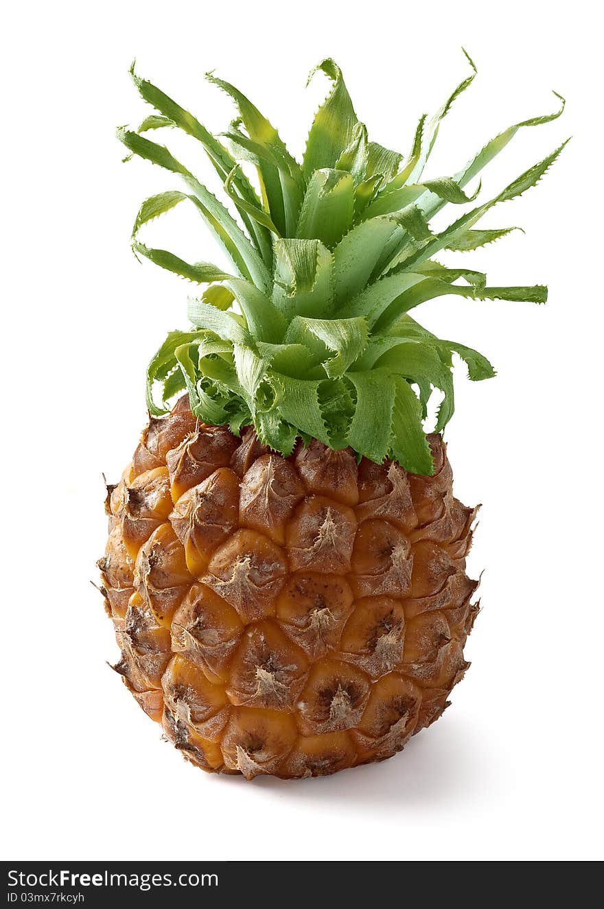 Pineapple