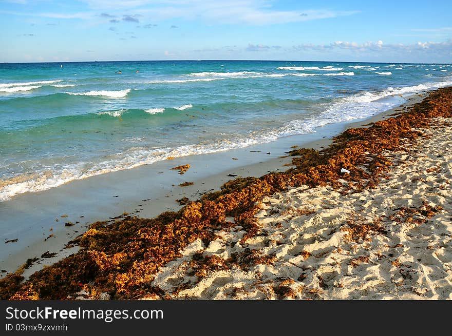 Beautiful tropical beach ans ocean