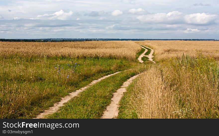 Fine landscape rural road