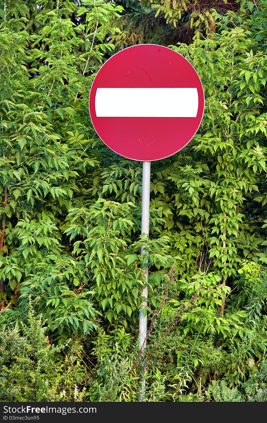 No entry road sign standing in front of the bushes. No entry road sign standing in front of the bushes.