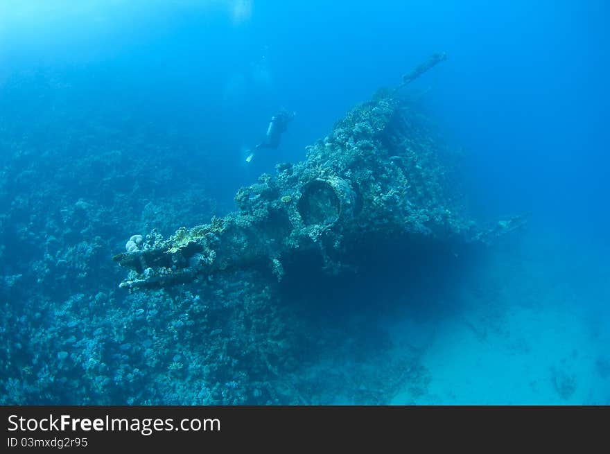 Divers exploring a large shipwreck