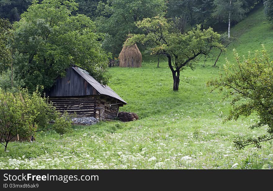 Old barn, raw