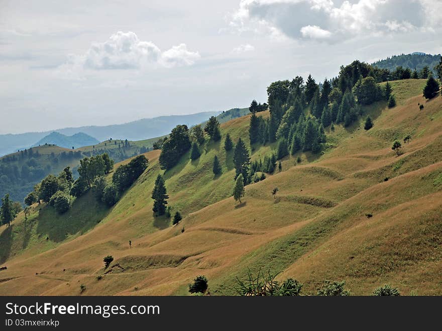 Gentle green slopes in Rodnei mountains, Romania.