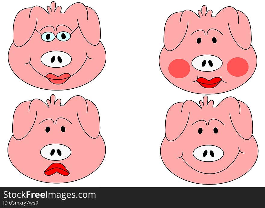 Detail of different pig heads