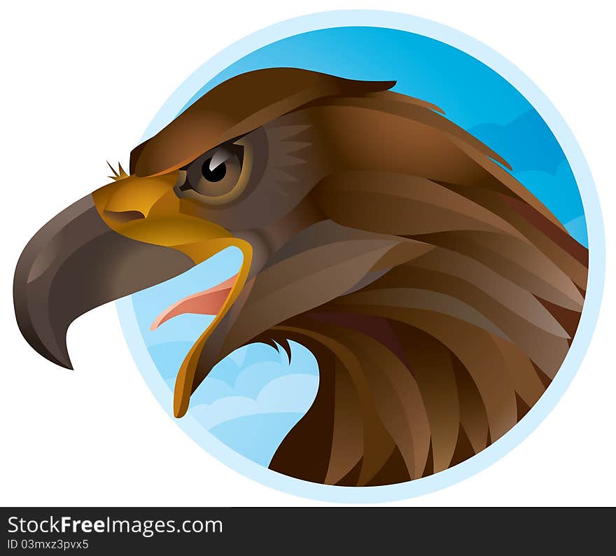 Brown eagle on air background