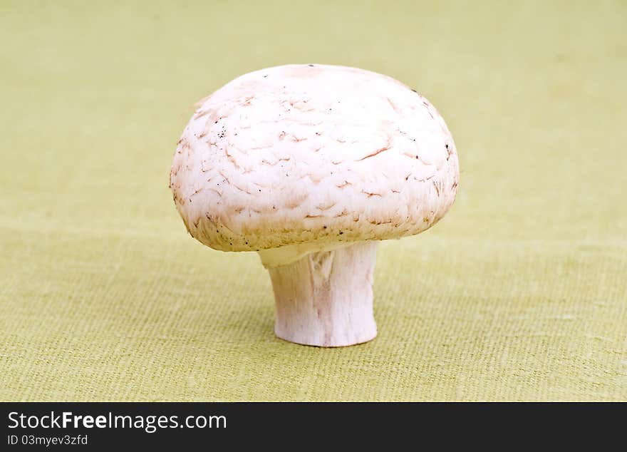 Mushroom on green textile