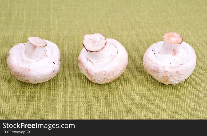 Three fresh white mushrooms on green textile