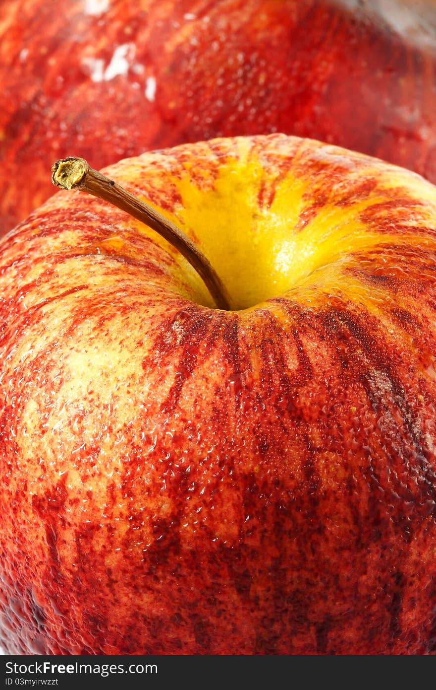 Gala apple close up in detail with macro lens