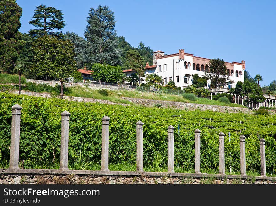 Tuscany, Italy. Italian luxury villa in the country, close to a Lambrusco vineyard. Tuscany, Italy. Italian luxury villa in the country, close to a Lambrusco vineyard