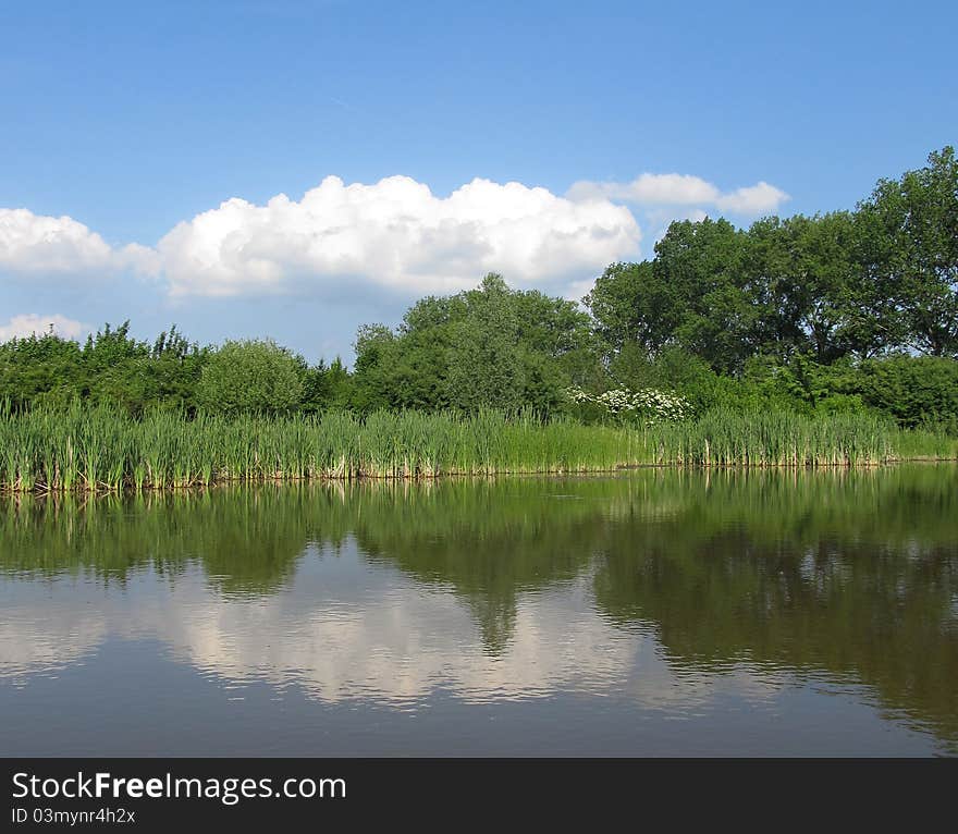 Piece of nature reflected in the water. Piece of nature reflected in the water