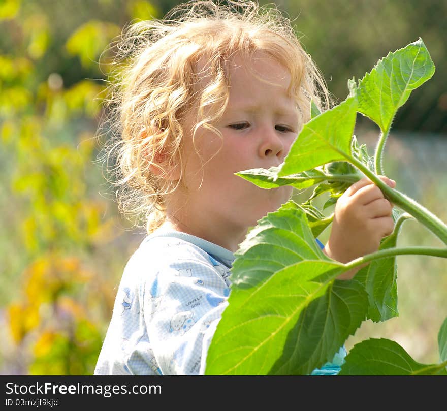 Interested in the plants