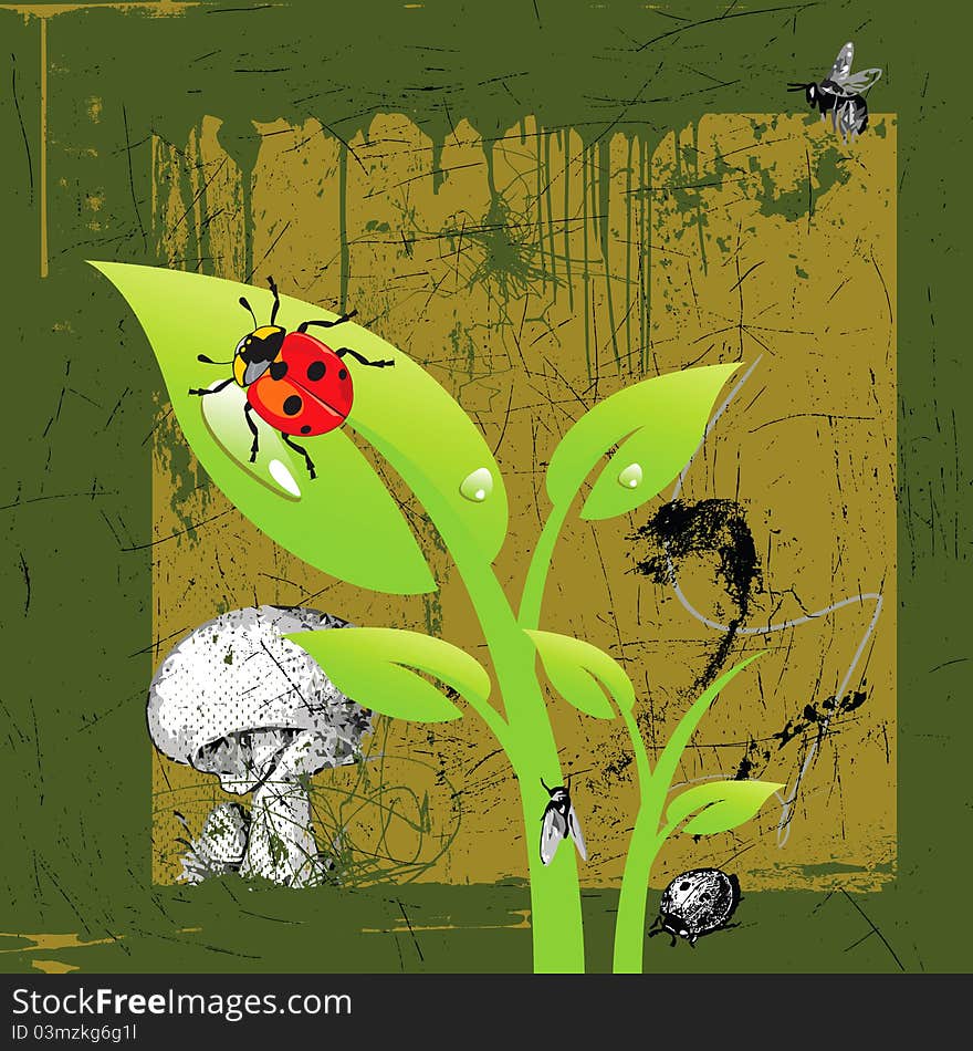 Ladybird and other insect - grunge and gently illustration