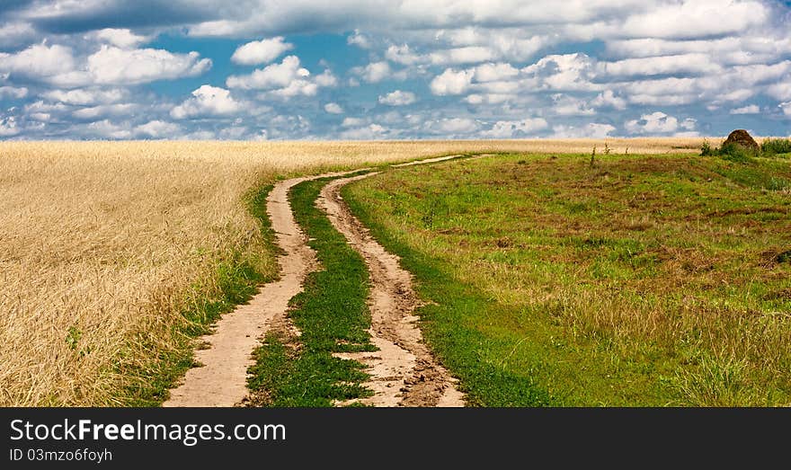 Fine landscape rural road leaving in fields of wheat against the sky