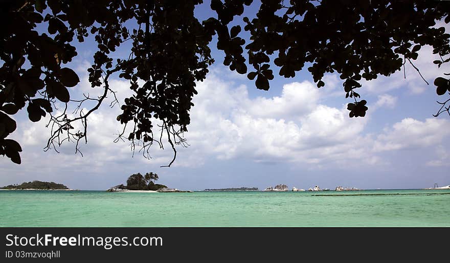 Beautiful ocean and tree on beach. Beautiful ocean and tree on beach