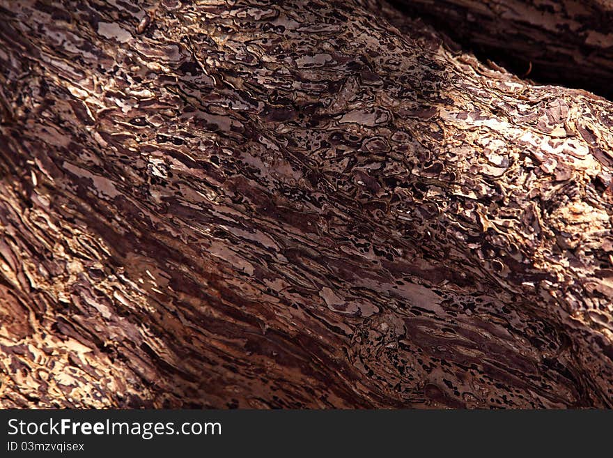 The nature wood skin for background