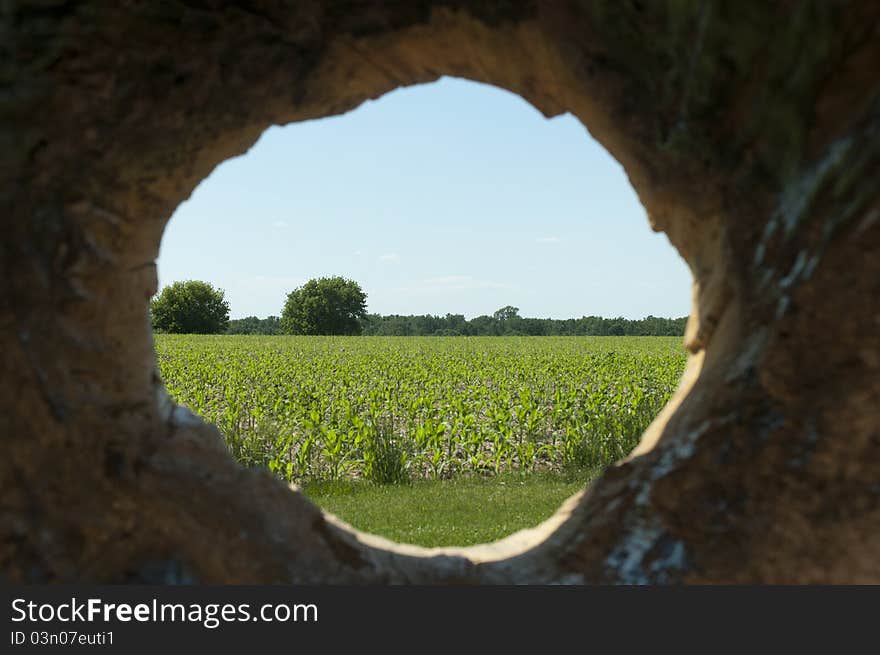 Country Farm Through a Hollow Log