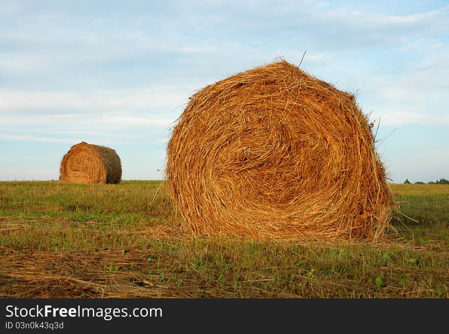 Two Haystacks on the green field