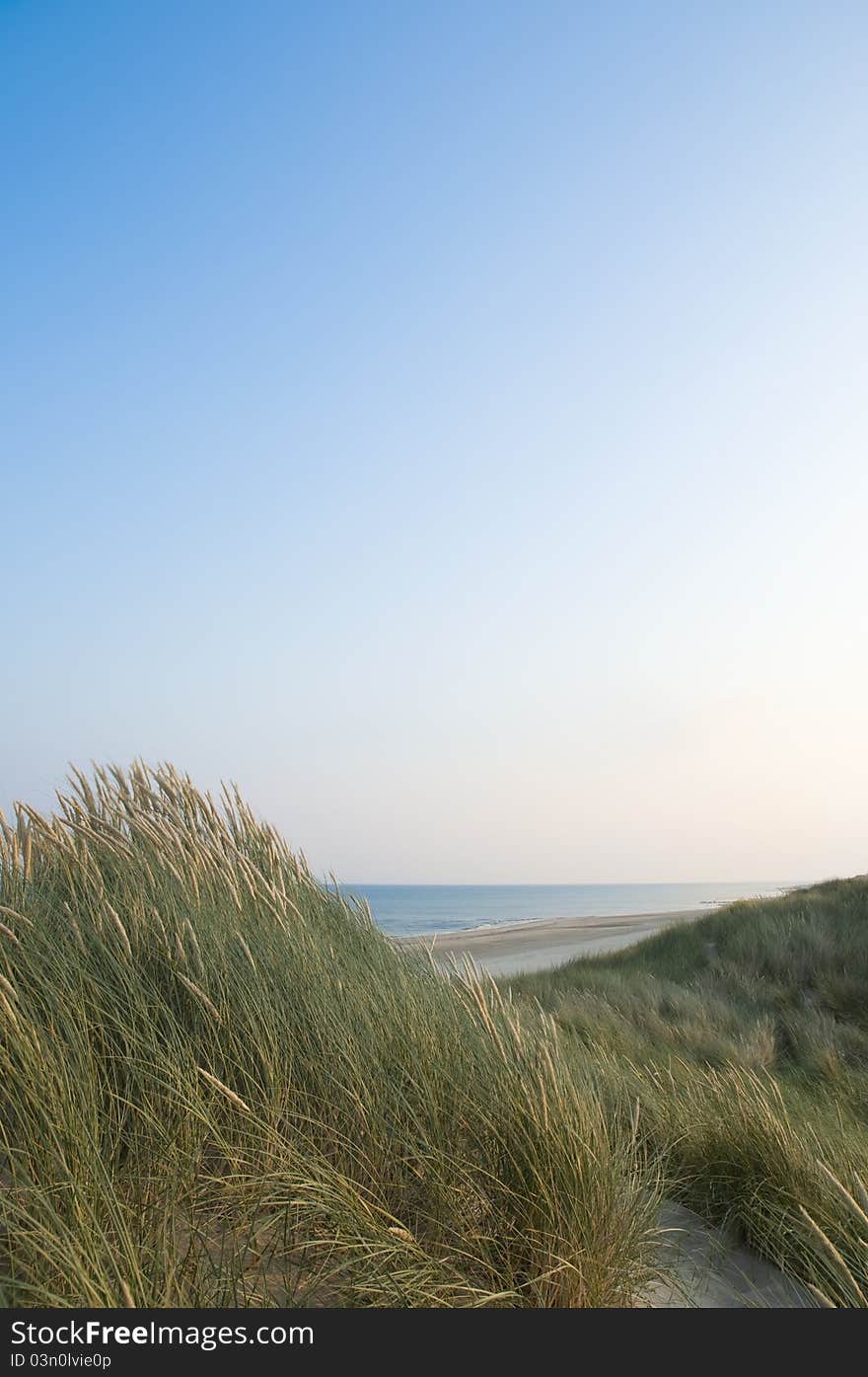 Sand dunes and a blue sky