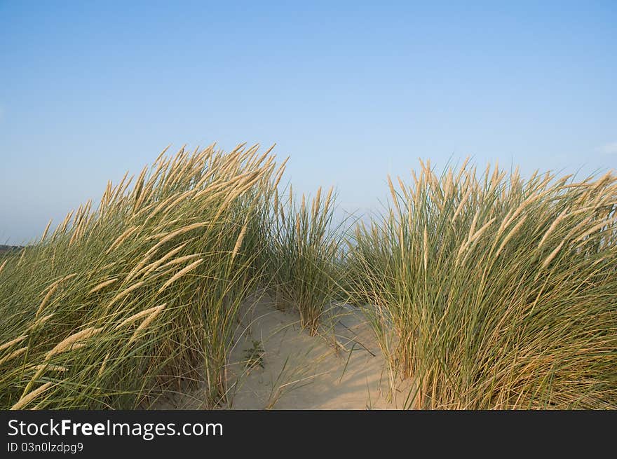 Sand dunes and a blue sky