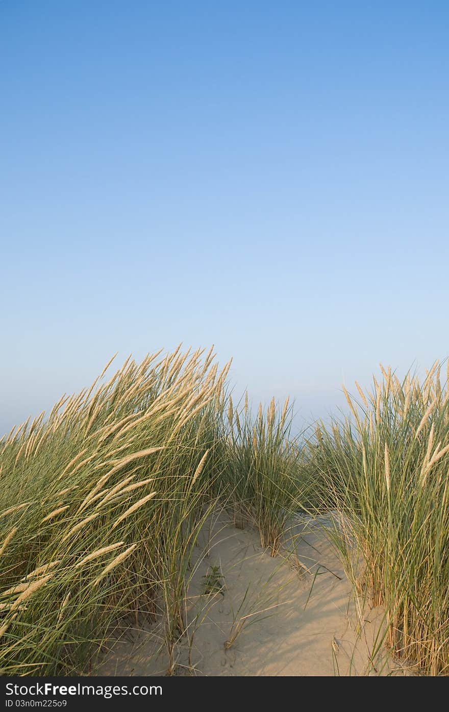 Sand dunes and a blue sky