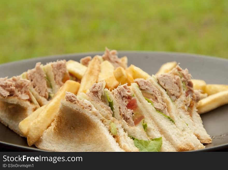 Tuna sandwich as green color background