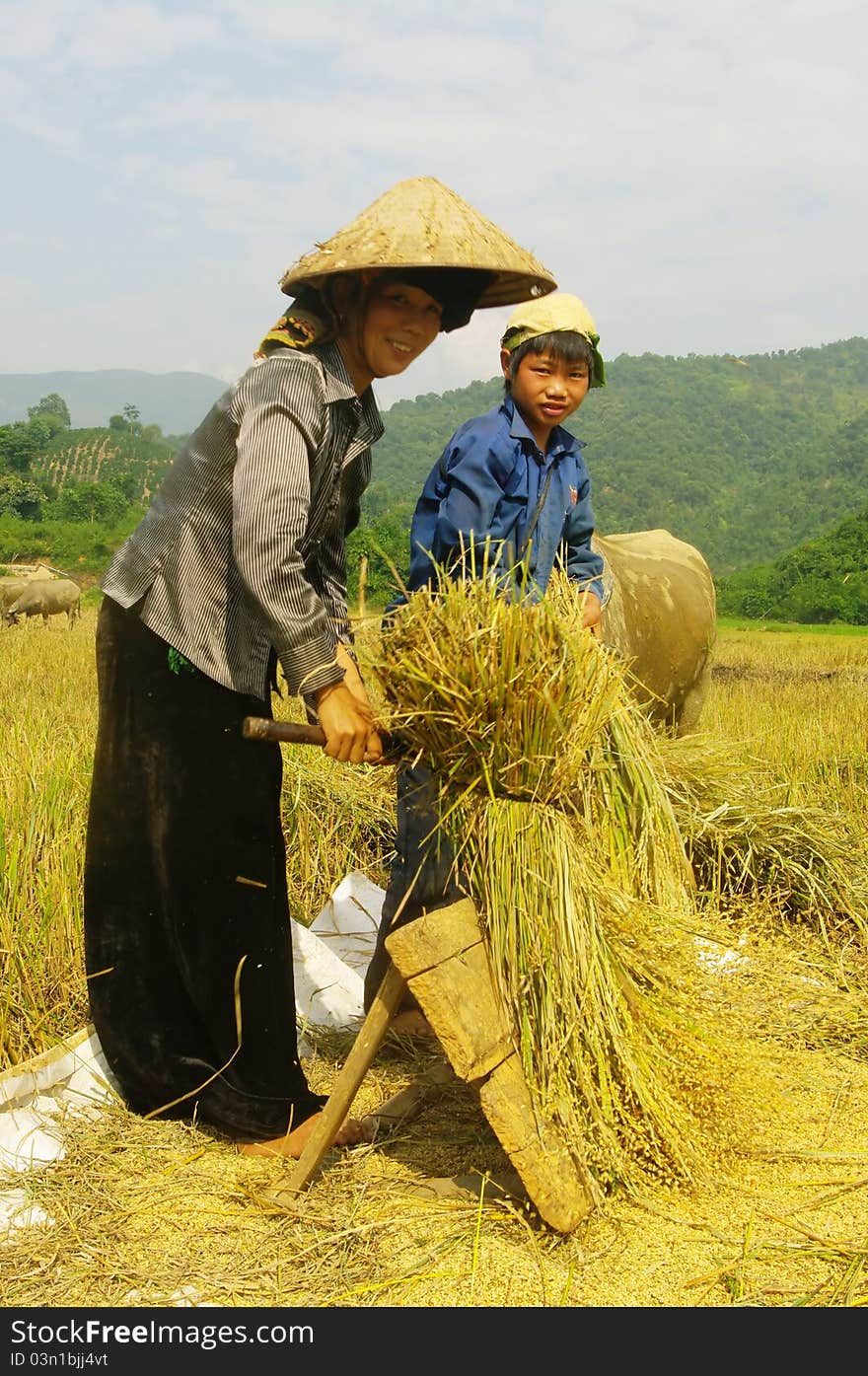 The Thai woman beats the wreath on the board with force to Sand smooth ears. The Thai woman beats the wreath on the board with force to Sand smooth ears.