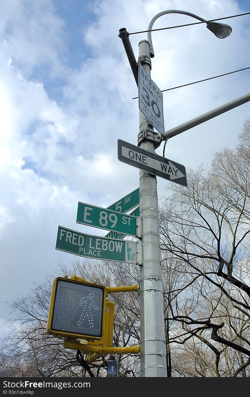 Manhattan Lamppost